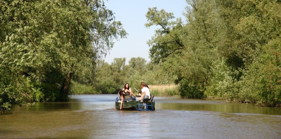 De Bieschbosch vanaf RCN de Faasbloem ontdekken