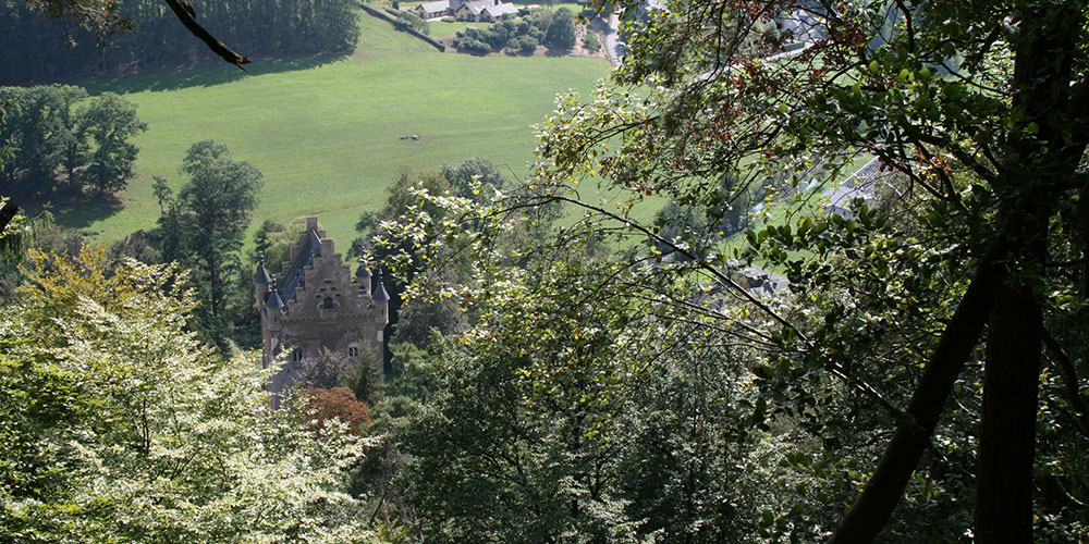 Uitzicht op het kasteel bij Schoenfels