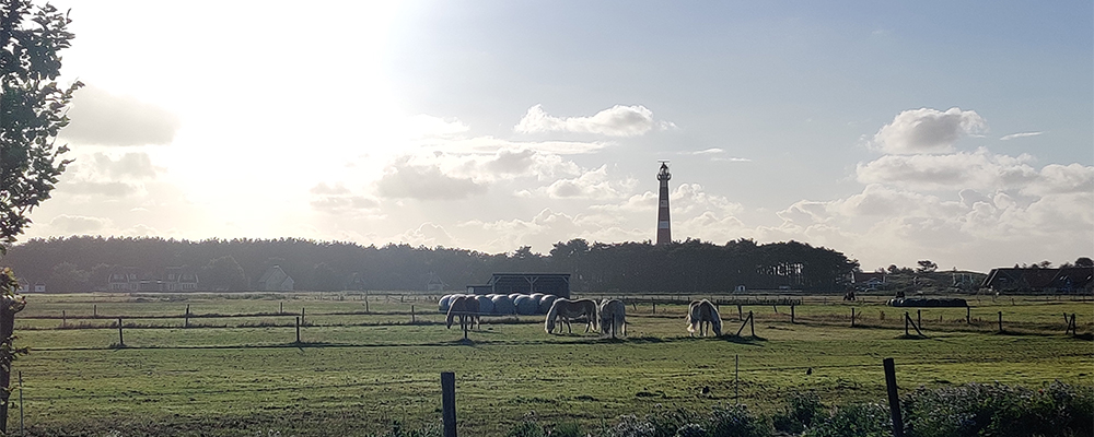 sfeer ameland vanaf boomhiemke vuurtoren en sfeer ameland