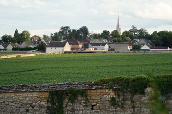 Doorkijkje naar Meursault