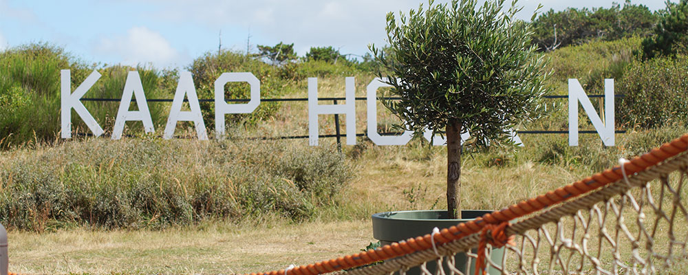 Even relaxen bij Kaap Hoorn Even relaxen bij Kaap Hoorn