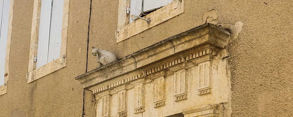 De katten verspreid door het plaatsje La Romieu