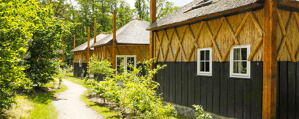 Winter in Drenthe, logeren in een Hooikiep op camping Norgerberg Winter in Drenthe, logeren in een Hooikiep op camping Norgerberg