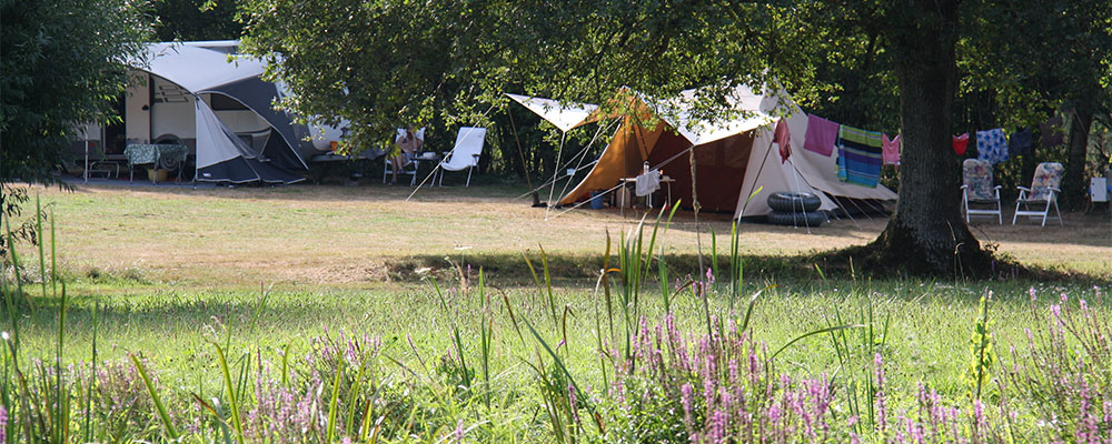 camping Sur Yonne, Bourgogne