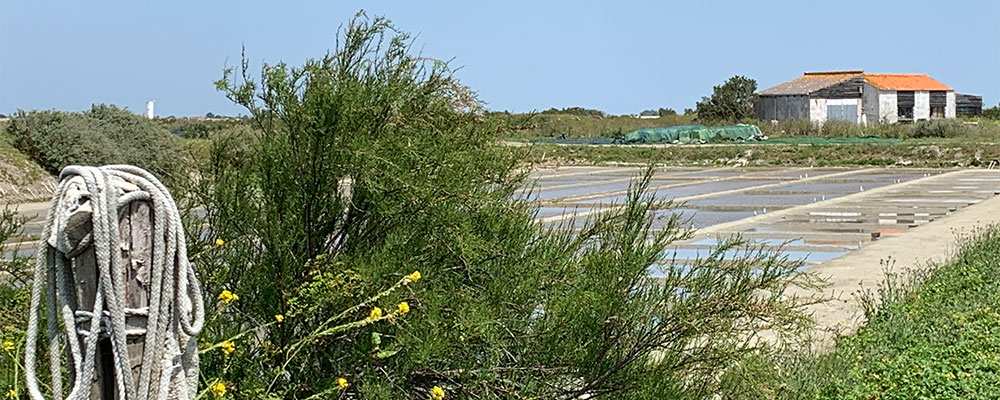 zoutpannen op île de Ré zoutpannen op île de Ré