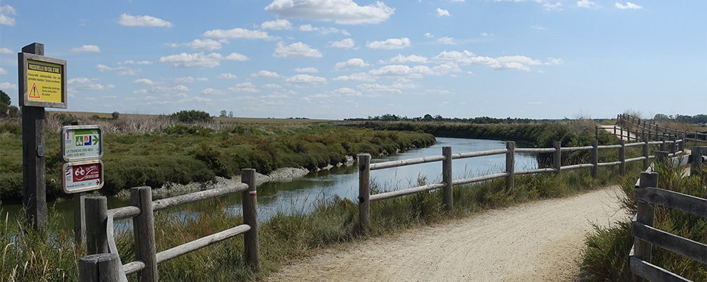 Op de fiets het moeras ten noorden van Les Sables d