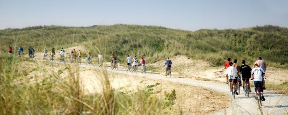 fietsen op Ameland