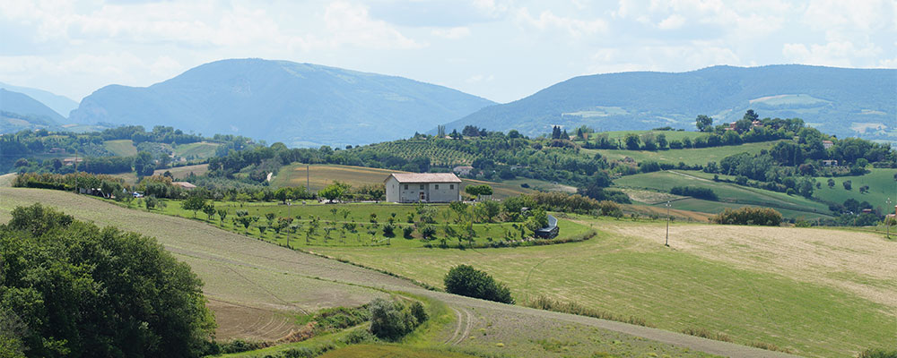 prachtig uitzicht over de groene heuvels rond Urbino