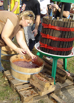 © Elin B – Having some home foot stamped grape juice, Eger Vineyard, Hungary – Flickr, creative commons 