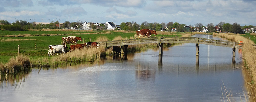 Echt Hollands landschap