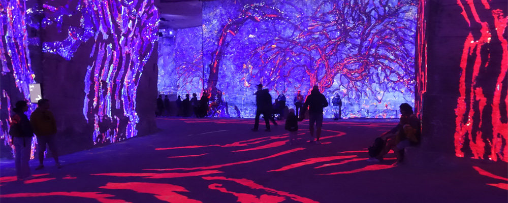 De Vermeer à Van Gogh De Vermeer à Van Gogh