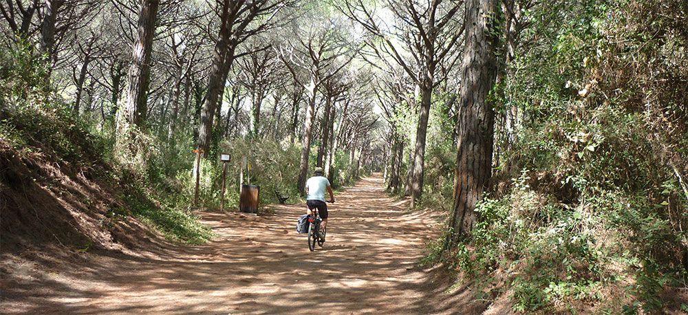 Zon, zee, strand en fietsen bij Vada