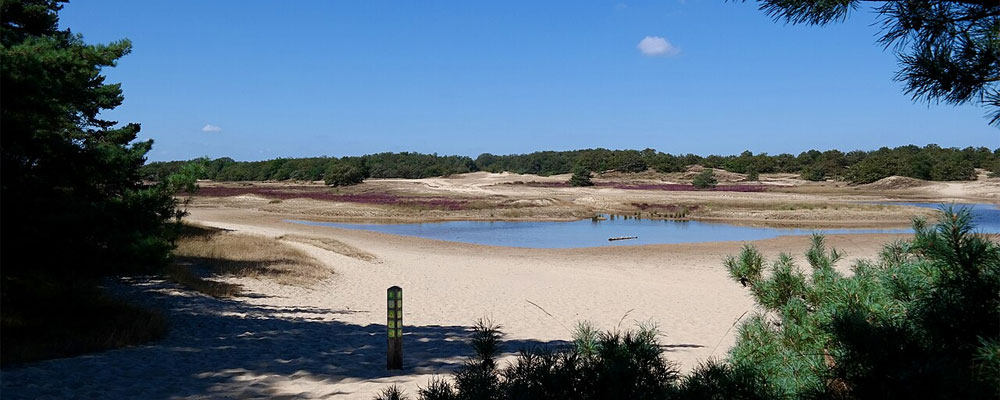 Loonse en Drunense duinen