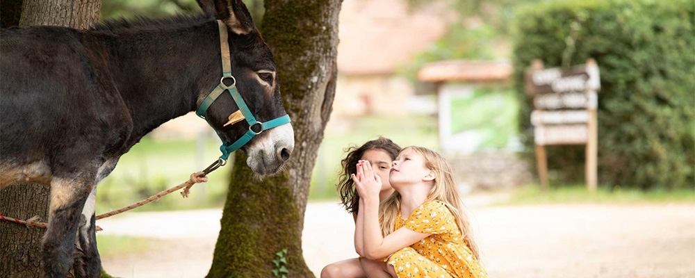 Ezels op Pech charmant