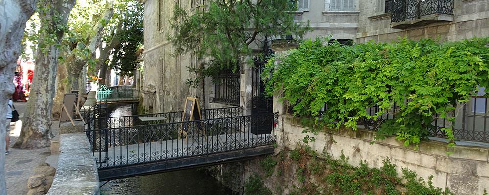 Rue des Teintures in Avignon