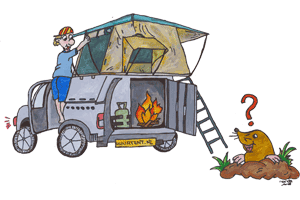 Tent, vouwwagen of camper?