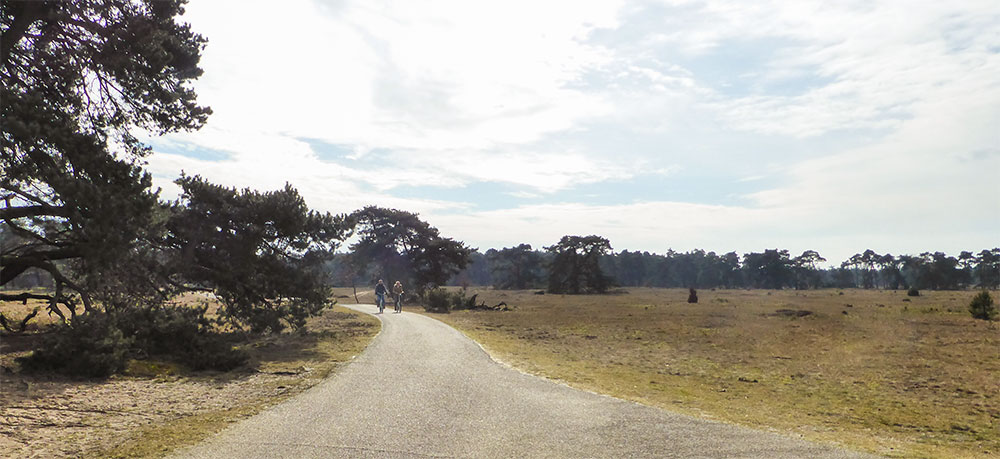 De Veluwe op de fiets De Veluwe op de fiets