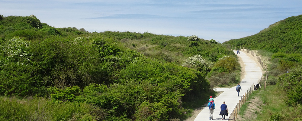 Wandelen Wandelen in de duinen in het voorjaar