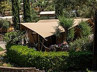 Luxury Safari Lodge