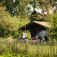 Camping BoerenBed Hoeve De Pippert in regio Gelderland, Nederland