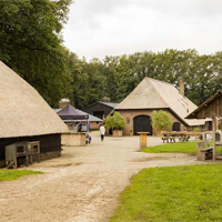 Camping BoerenBed Landgoed Volenbeek in regio Gelderland, Nederland