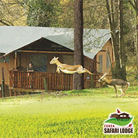 Camping Cerza Safari Lodge in regio Normandië, Frankrijk