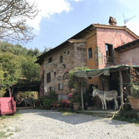 Camping Gli Asini Felici in regio Toscane en Elba, Italië