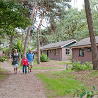Camping Roompot Park de Peel in regio Noord-Brabant, Nederland