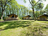 Beerze Summer Lodge