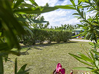 Amfora Staanplaatsen