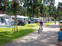 Heldense Bossen Staanplaats