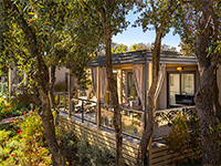 Istra Orlandin-Premium