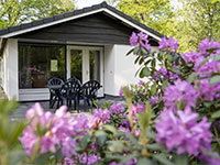 Westerbergen Bosbungalow Meidoorn