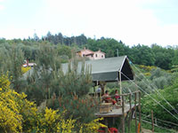 Gli Asini Felici Safaritent