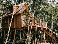Warredal Tree House 2