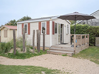 Toppershoedje De Aalscholver