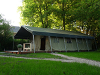 Vreemde Vogel Afrikaanse Trekvogel