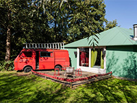 Vreemde Vogel Vuurvogel