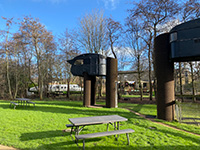 Vreemde Vogel Knusse Struisvogel