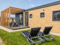 Zeeuwse Kust Zeemeeuw