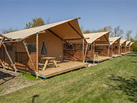 Lodgetent 6p