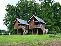 Koeksebelt Boomhut