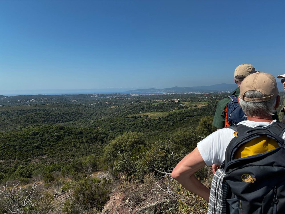 Uitzicht op Esterel gebergte