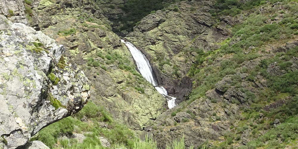 Figas do Ermelo Figas do Ermelo