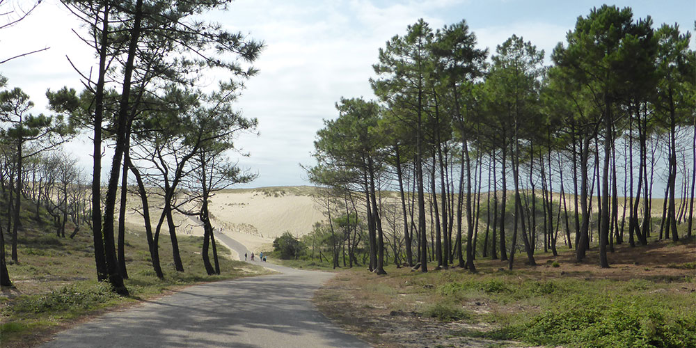 Strand bij Camping Le Vieux Port, Messanges
