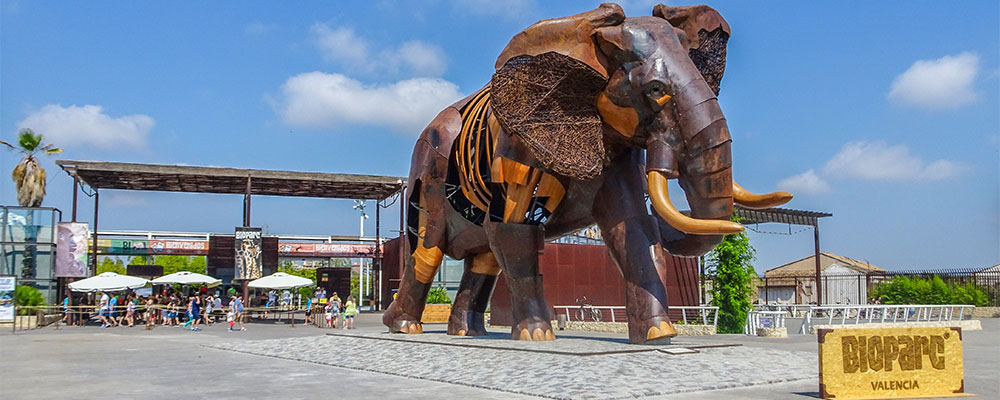 Valencia - Bioparc dierentuin