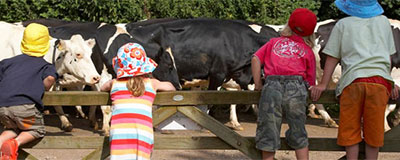 Op een Boerderij met de kinderen in een Safaritent