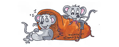 Hoe berg ik die kampeerspullen op?