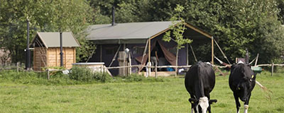 De tentvakanties worden steeds leuker mede door alle vernieuwingen.