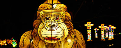 Tweede editie Africa by Light op de Beekse Bergen: “The Fantasy Edition”